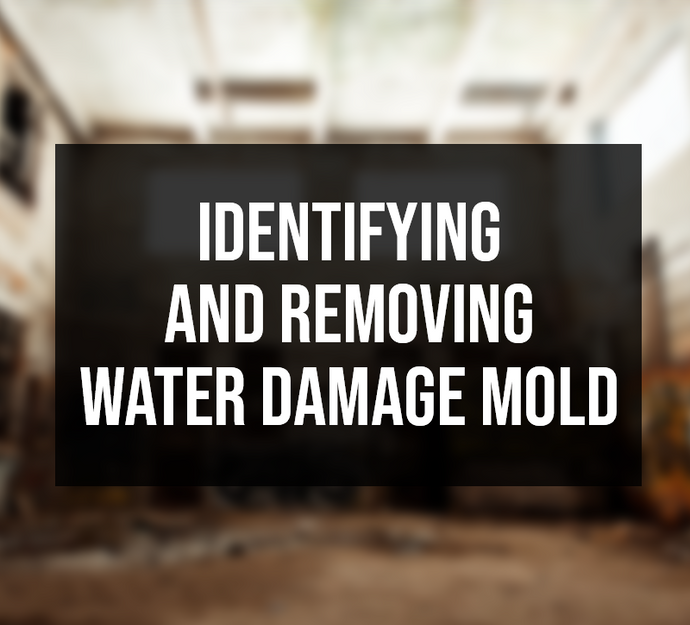 Identifying and Removing Water Damage Mold