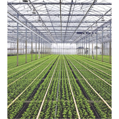 8mm PoliSoft Twinwall Polycarbonate - All Sizes